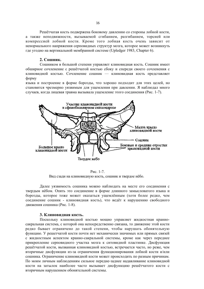 Terapia czaszkowo-krzyżowa. Księga 2